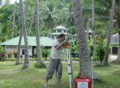 Ingenieuervermessung - Baumkataster/Bestandsplanerstellung (Thailand)
